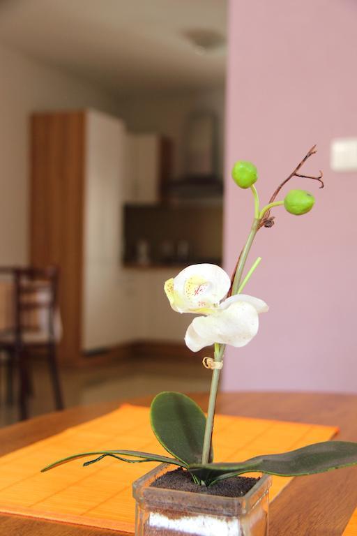 Vila Dravce Quarto foto